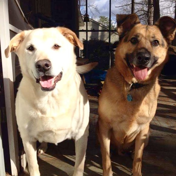 Meet your Posher, Mary - Picture 4 of 11